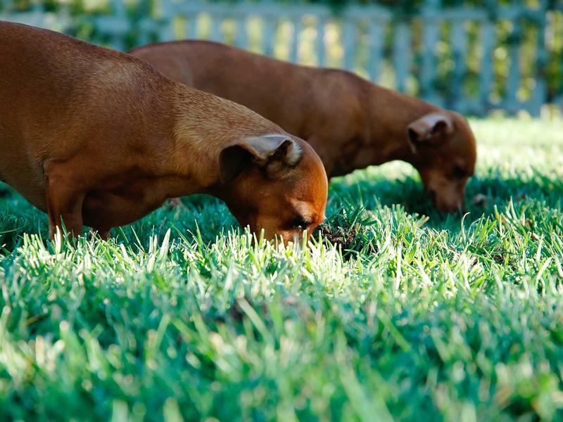 sudoku memory improvement screenshot 2