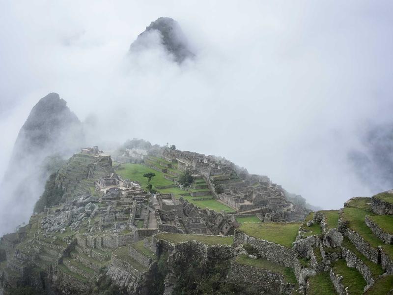 sudoku brain exercise screenshot 5