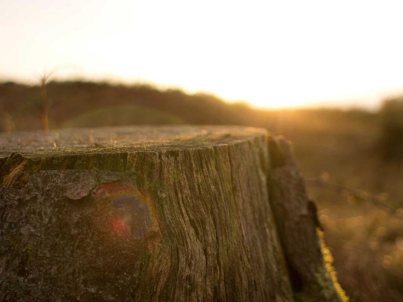 accessibility screenshot 5